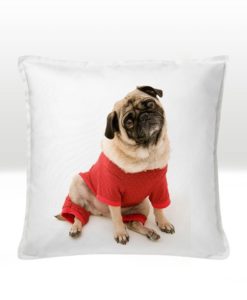 Dekoratyvinė pagalvėlė “Cosy” 50 cm, pagalvėlė su spauda, pagalvėlė su nuotrauka, pagalvėlė su užrašu, manodovanos.lt, balta pagalvė,